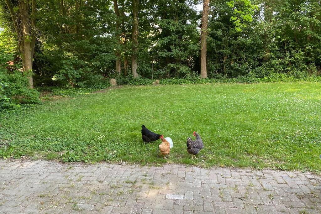 Vakantiehuis De Zeeuwse Schuur In De Zak Van Zuid-Beveland Heinkenszand Екстериор снимка