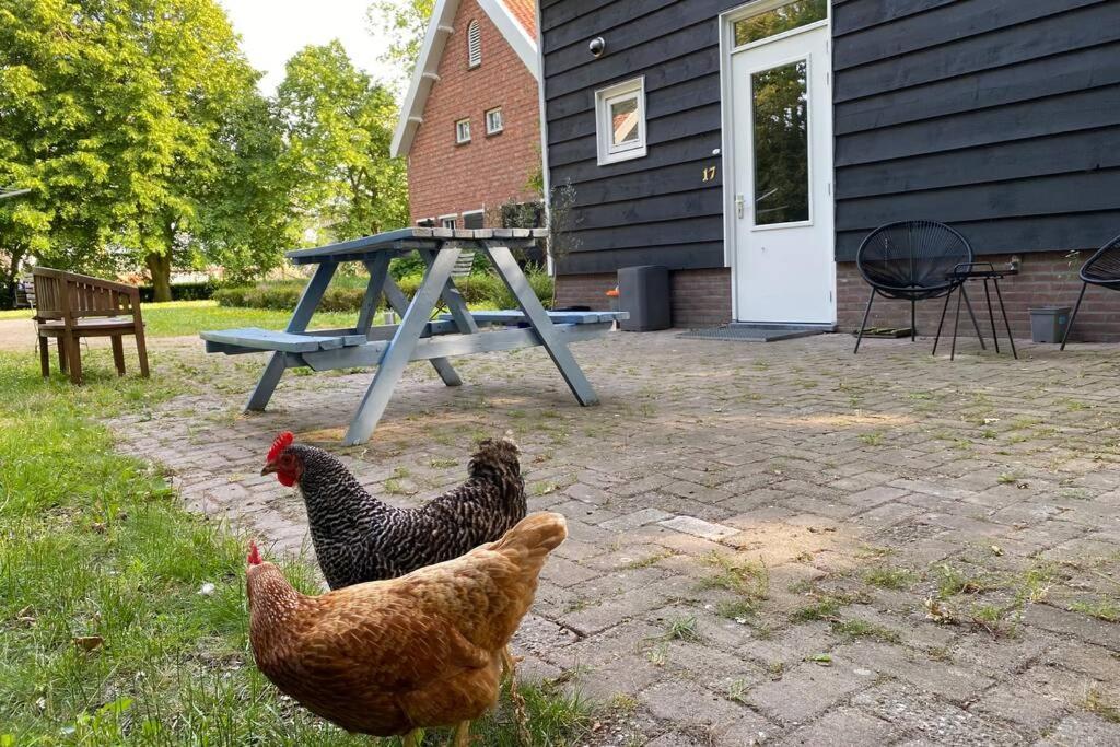 Vakantiehuis De Zeeuwse Schuur In De Zak Van Zuid-Beveland Heinkenszand Екстериор снимка